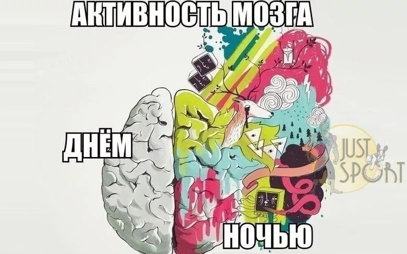 Занимательная физиология. Мозг.
